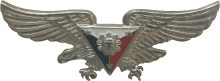 Знак Пилот