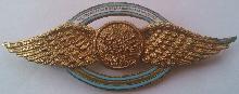 Знак Pilot of National Gendarmerie
