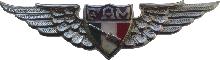 Знак Воздушный стрелок