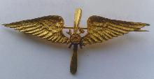 Знак Technician