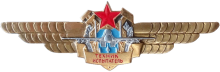 Знак Техник испытатель (неофициальный) Знак Техник испытатель (неофициальный)