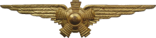 Знак Technician
