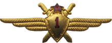 Знак Pilot 1st class