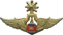 Знак Pilot