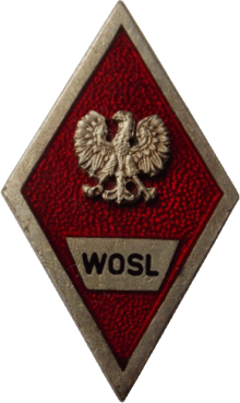 Знак Офицерская школа ВВС