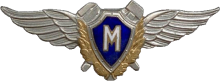 Знак Специалист ИТС Мастер Знак Специалист ИТС Мастер