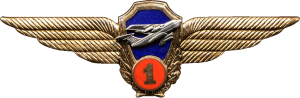 Нагрудный знак Пилот ФГУАП МЧС России 