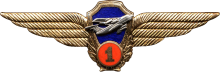Знак Пилот ФГУАП МЧС России Знак Пилот ФГУАП МЧС России