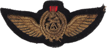 Знак Pilot