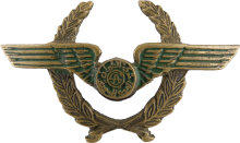 Знак Пилот