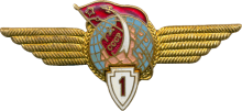 Знак Pilot cosmonaut 1st class Знак Pilot cosmonaut 1st class