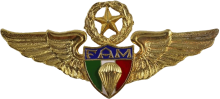 Знак Мастер парашютист