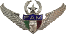 Знак Мастер парашютист