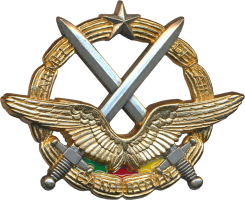 Нагрудный знак Эмблема на берет 