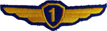Знак Летчик 1 класса Знак Летчик 1 класса