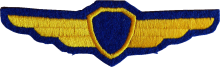 Знак Летчик без класса Знак Летчик без класса
