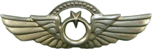 Знак Pilot 1000hrs.