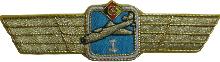 Знак Пилот 1 класса Знак Пилот 1 класса
