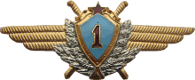 Знак Pilot 1st class