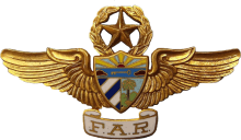 Знак Мастер пилот