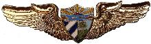 Знак Пилот
