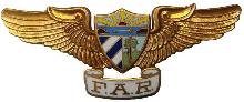 Знак Пилот