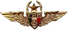 Знак Пилот, 3000 часов