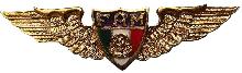 Знак Пилот