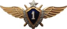 Знак Летчик 1 класса Знак Летчик 1 класса