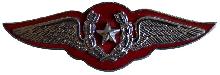 Знак Pilot