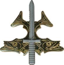 Знак Квалифицированного ныряльщика наступательного вмешательства, (EPAT)