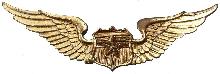 Знак Army pilot