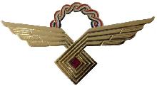 Знак Заслуженный пилот