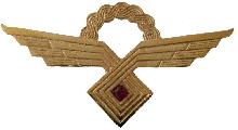 Знак Летчик