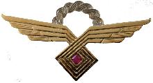 Знак Летчик