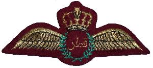 Badge Летчик 