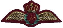 Знак Летчик
