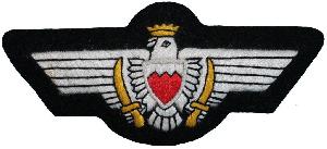 Badge Пилот 