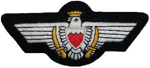 Нагрудный знак Пилот 