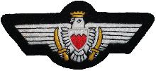 Знак Пилот