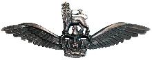 Знак Pilot Знак Pilot