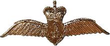Знак Пилот Знак Пилот