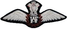Знак Pilot