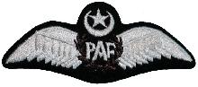 Знак Пилот