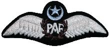 Знак Пилот