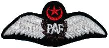 Знак Пилот