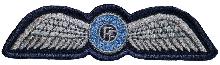 Знак Pilot