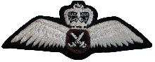 Знак Pilot