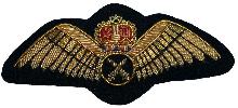 Знак Летчик 