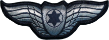 Знак Пилот